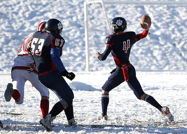 沙特与阿根 沙特与阿根