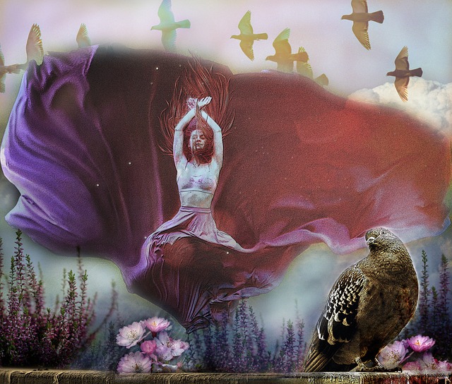 足总杯带来 足总杯带来