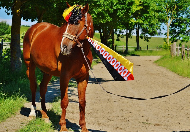 发展的今天 发展的今天